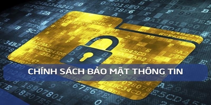 Các điều khoản trong chính sách bảo mật tại U888