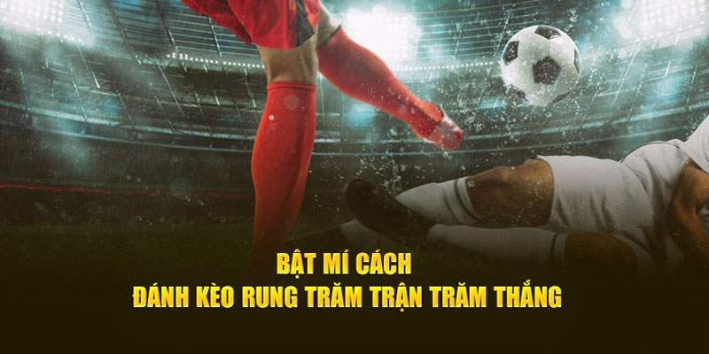 Mẹo chơi kèo rung bất bại dành cho người mới